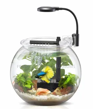 Aquarium Fish Bowl