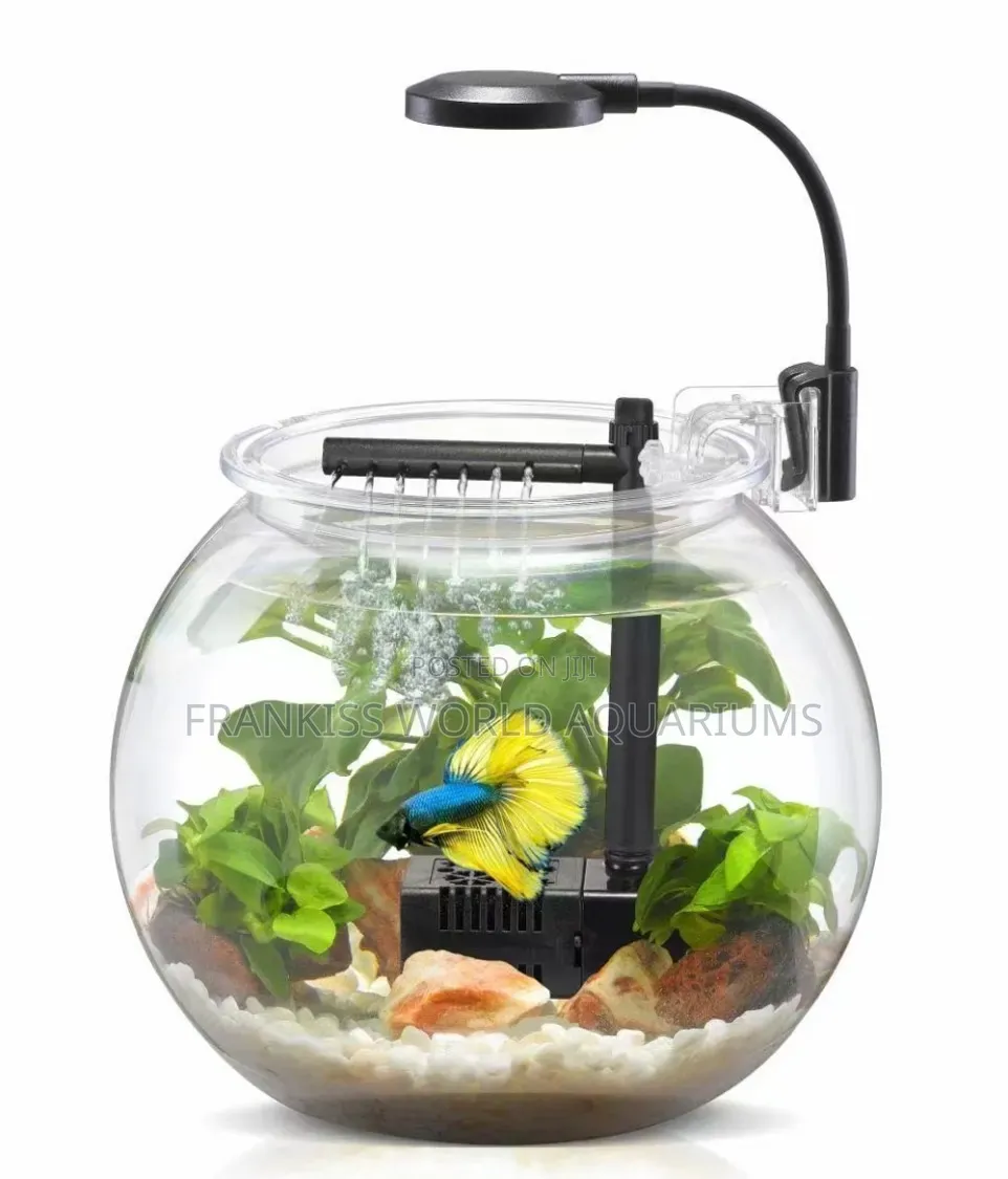 Aquarium Fish Bowl