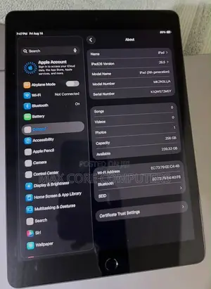Apple iPad 10.2 (2021) 256 GB Gray