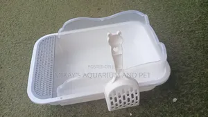 Kitten Litter Box