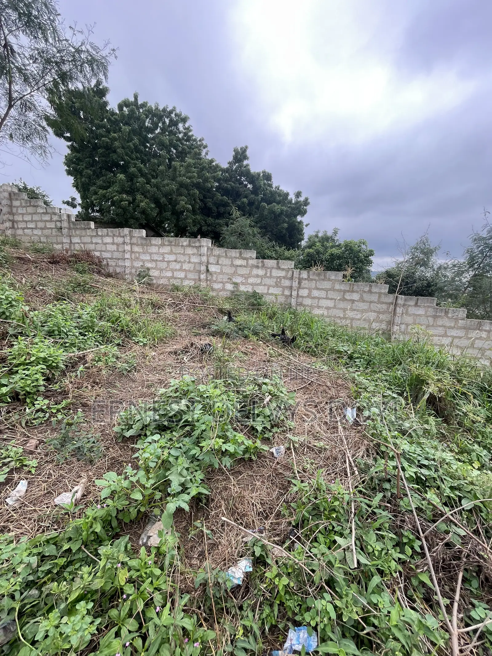 Hillview Half Plot for Sale