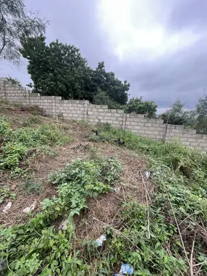 Hillview Half Plot for Sale