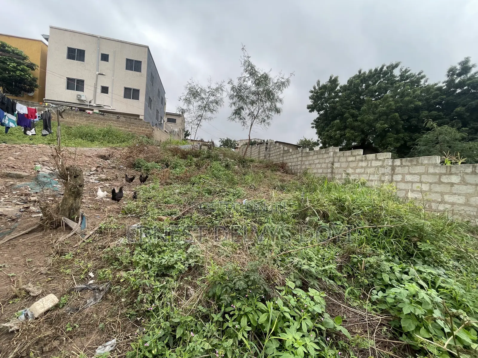 Hillview Half Plot for Sale