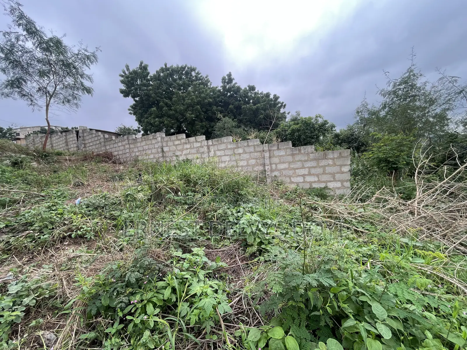 Hillview Half Plot for Sale