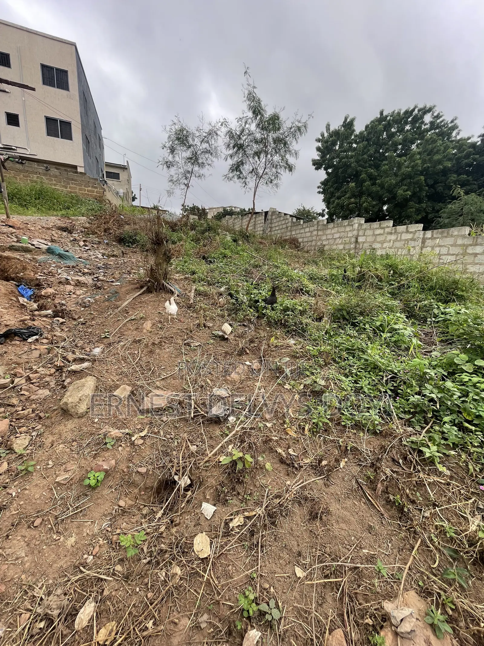 Hillview Half Plot for Sale
