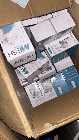 Portable Nebulizer