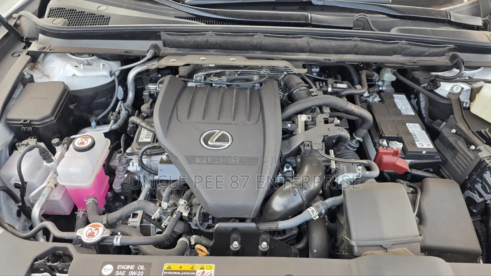 Lexus RX 2026 White