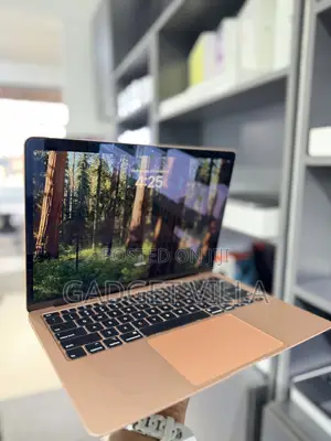 Laptop Apple MacBook Air 2020 8GB Intel Core i3 SSD 256GB