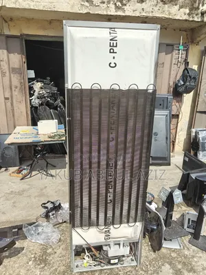Double Door Hone Use Fridge