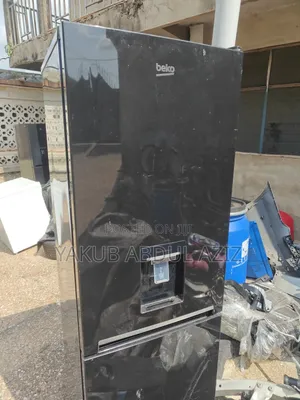 Double Door Hone Use Fridge