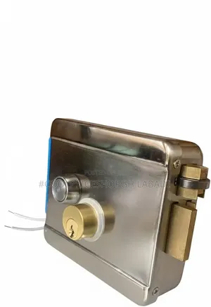 Gate Door Lock Metallic Electronic