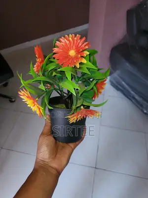 Decoration Pieces/Accessories/-Relocation Sale-Everything Must Go