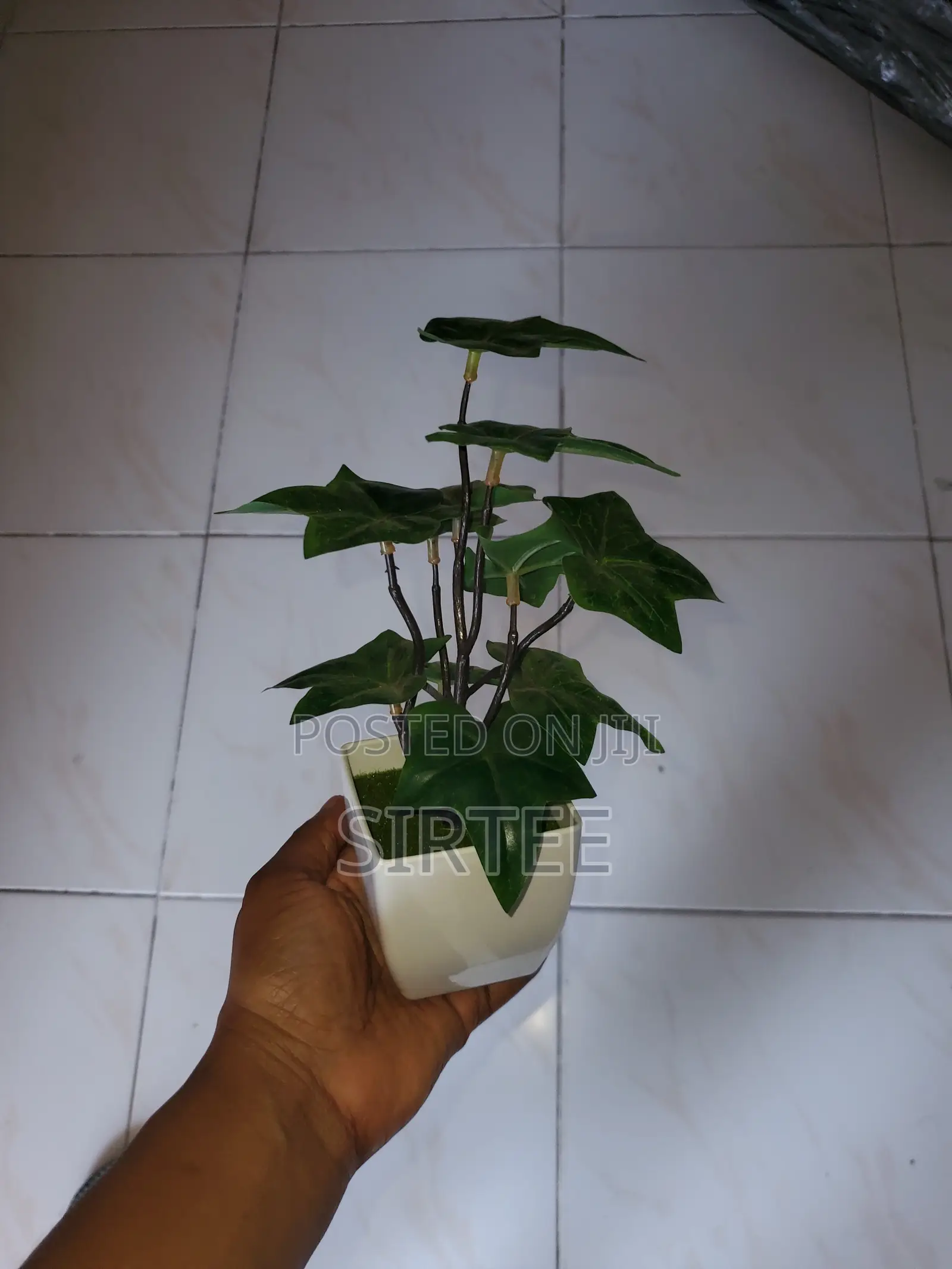 Decoration Pieces/Accessories/-Relocation Sale-Everything Must Go