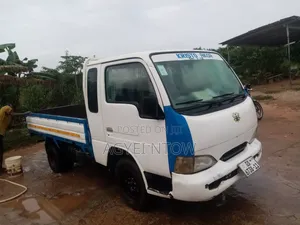 Mini Truck