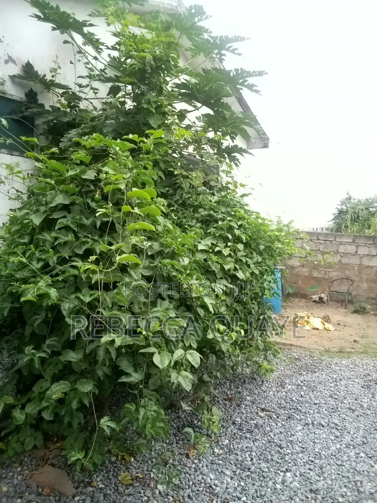 Half Plot for Sale Amasaman, Obeyeyie