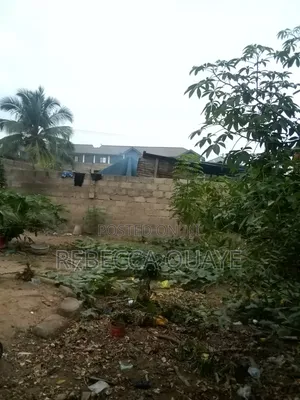 Half Plot for Sale Amasaman, Obeyeyie