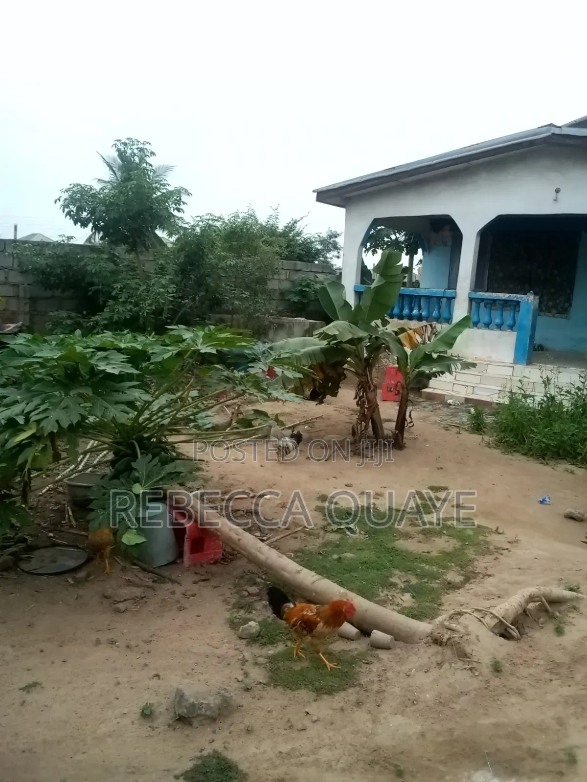 Half Plot for Sale Amasaman, Obeyeyie