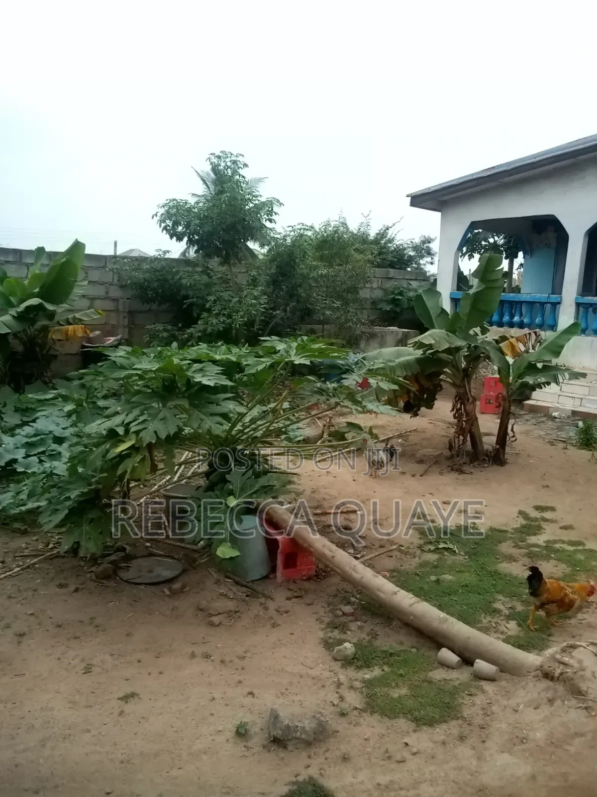 Half Plot for Sale Amasaman, Obeyeyie