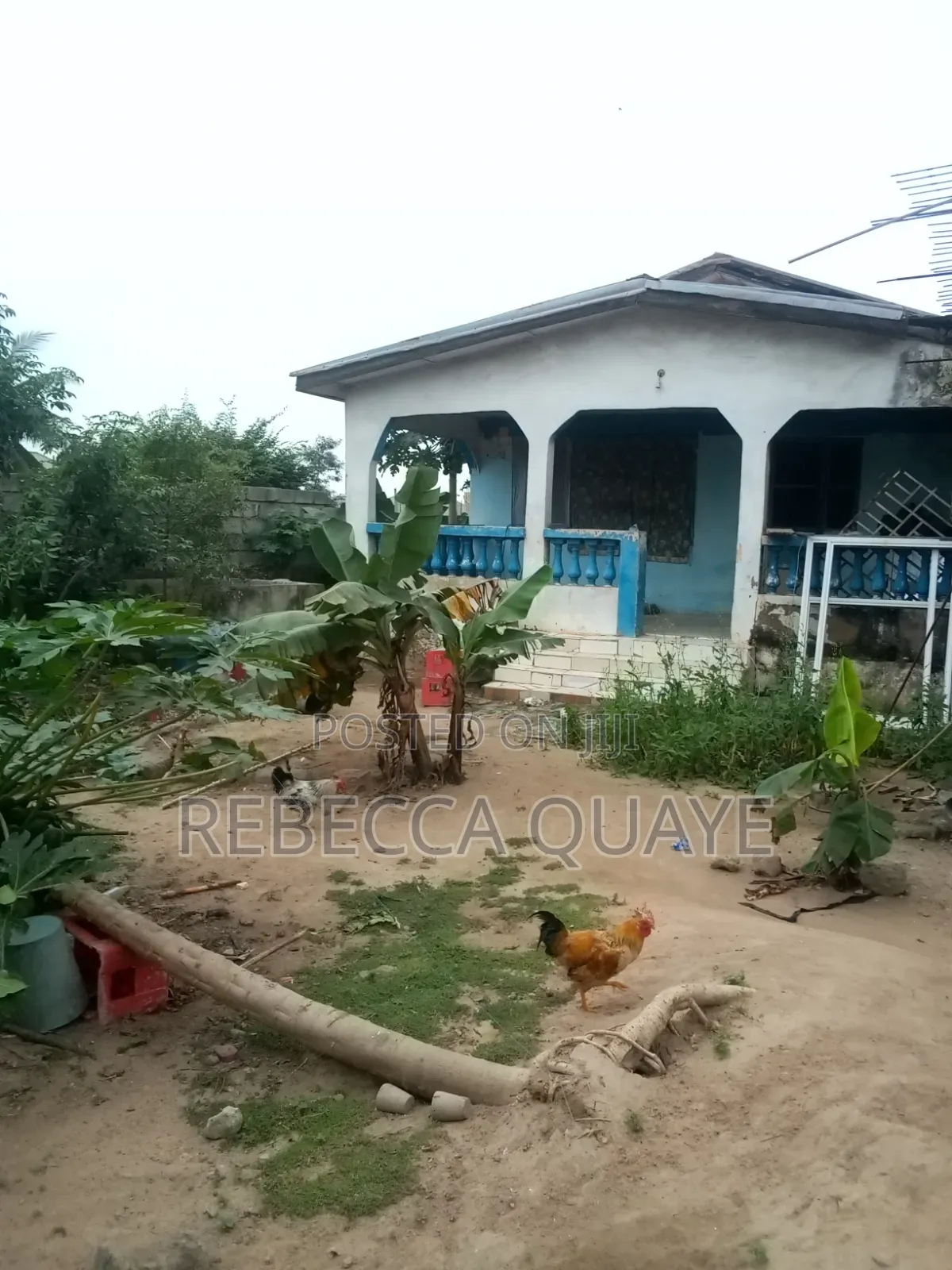 Half Plot for Sale Amasaman, Obeyeyie