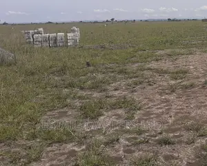 Exquisite Litigation Free Land