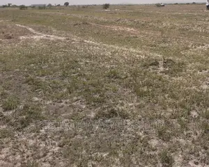 Exquisite Litigation Free Land
