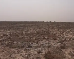 Exquisite Litigation Free Land