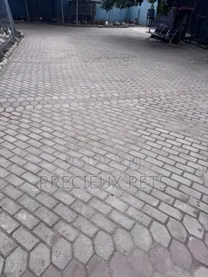 Cleaner Needed