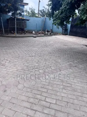 Cleaner Needed