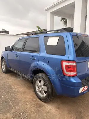 Ford Escape 2011 Blue