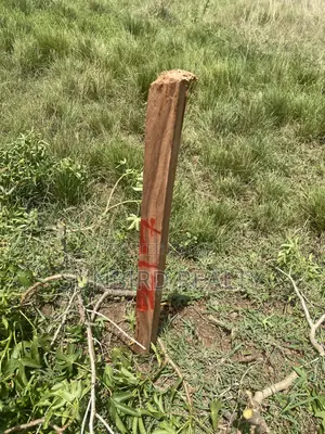 Land for Sale in Oyibi Apollonia