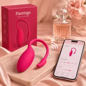 Flamingo App Control Panty Vibrator