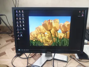 Dell Monitor