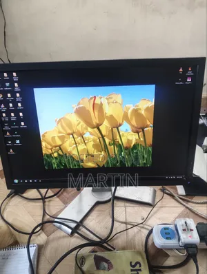 Dell Monitor