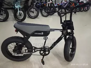 New Electric Bicycles 2025 Black