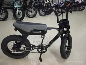 New Electric Bicycles 2025 Black