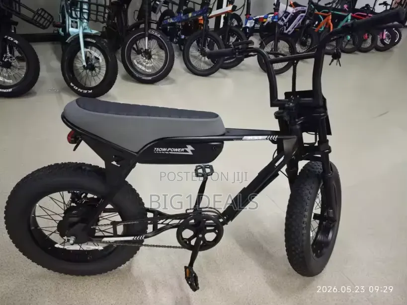 New Electric Bicycles 2025 Black