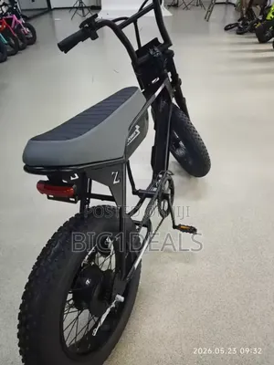 New Electric Bicycles 2025 Black