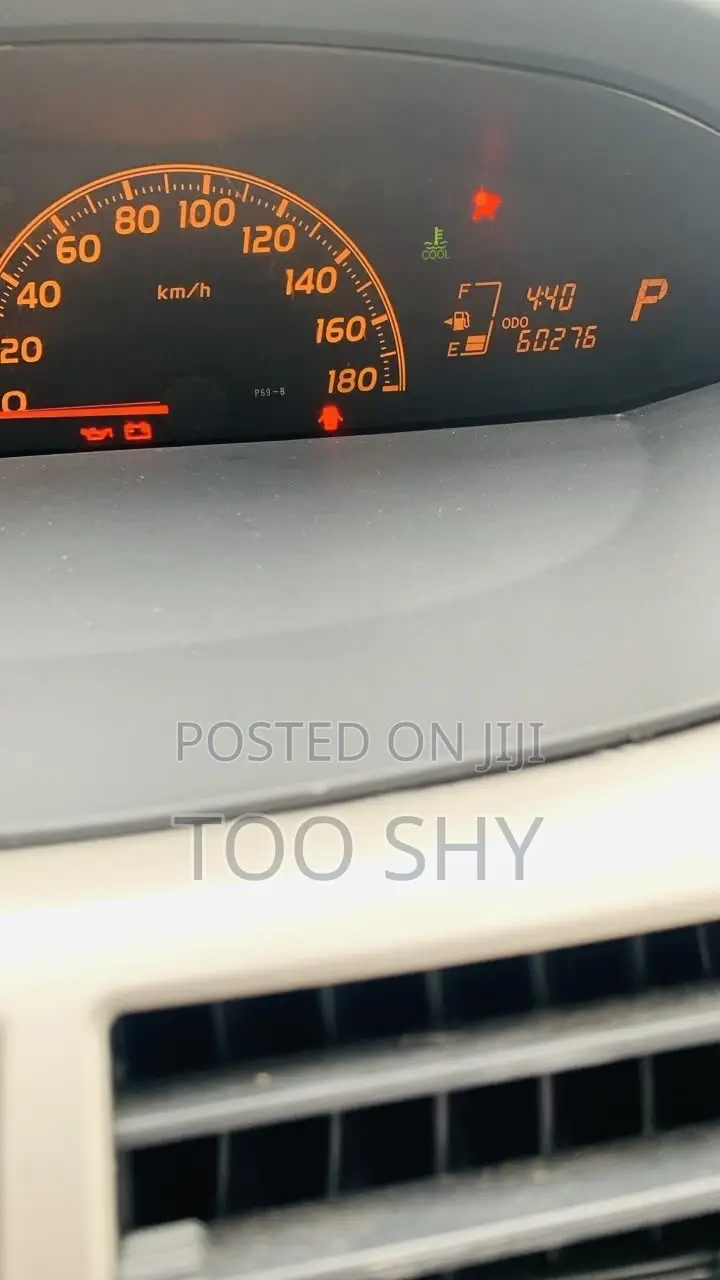 Toyota Vitz 2010 Silver