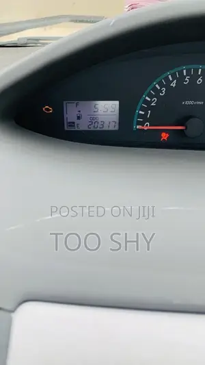 Toyota Belta 2010 Silver