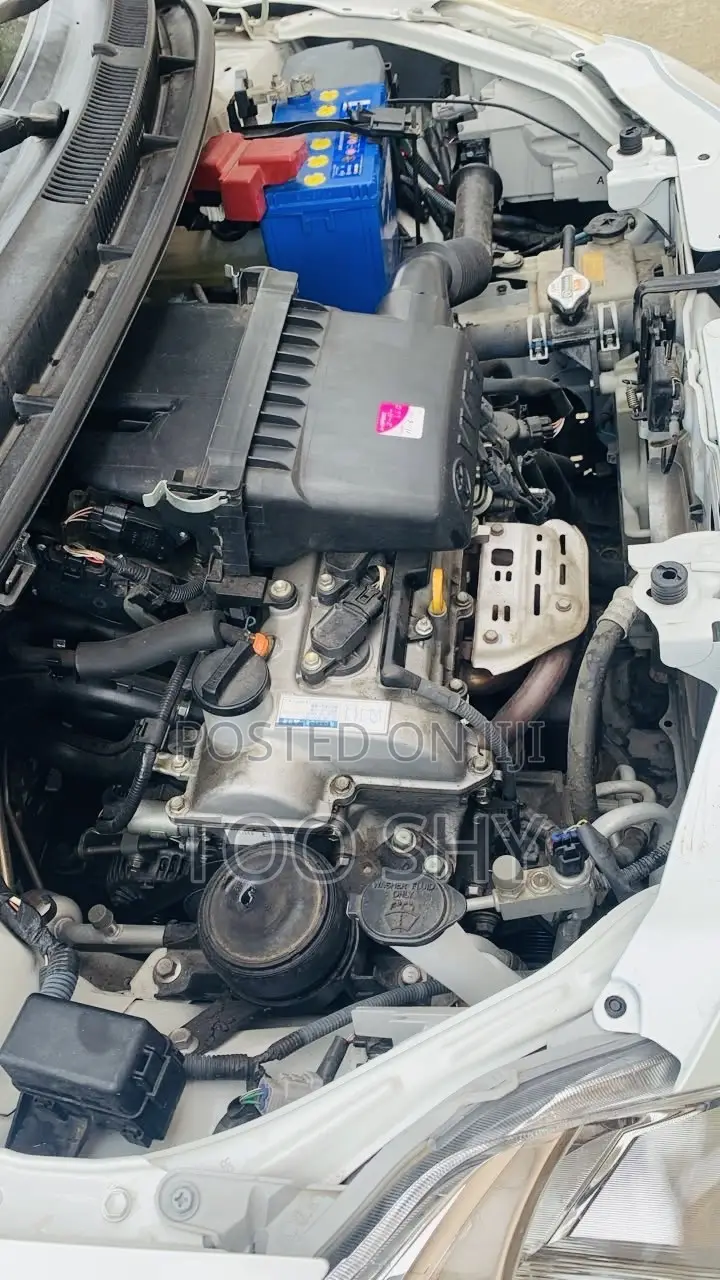 Toyota Belta 2010 Silver