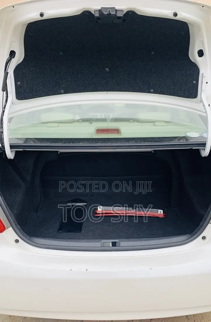 Toyota Belta 2010 Silver