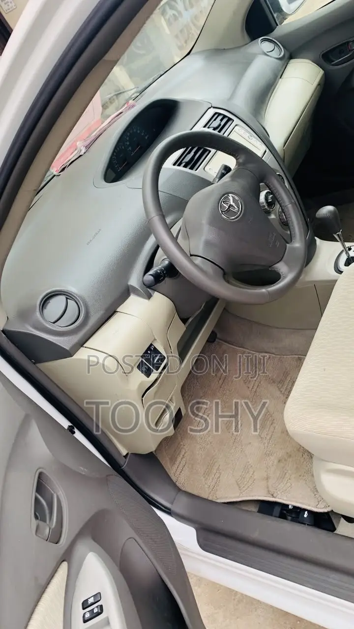 Toyota Belta 2010 Silver