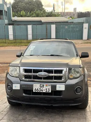 Ford Escape Limited 2010 Gray