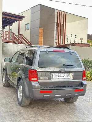 Ford Escape Limited 2010 Gray