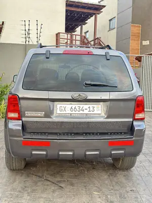 Ford Escape Limited 2010 Gray