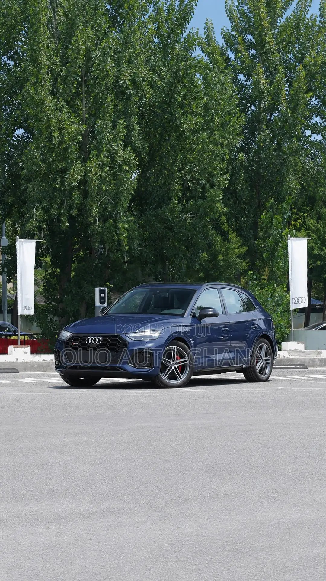 Audi SQ5 2025 Blue