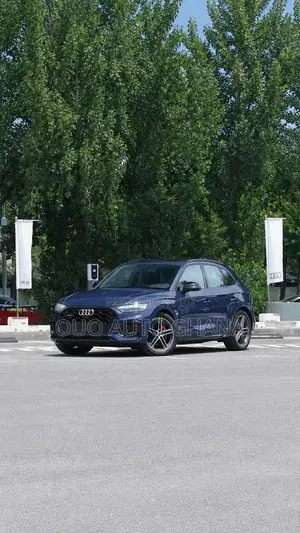 Audi SQ5 2025 Blue