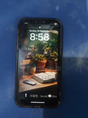Apple iPhone 11 128 GB Gray