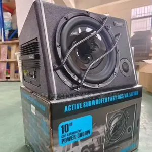 Car Subwoofer