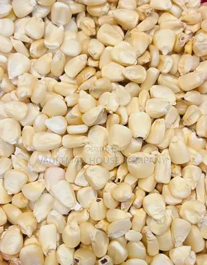 White Maize